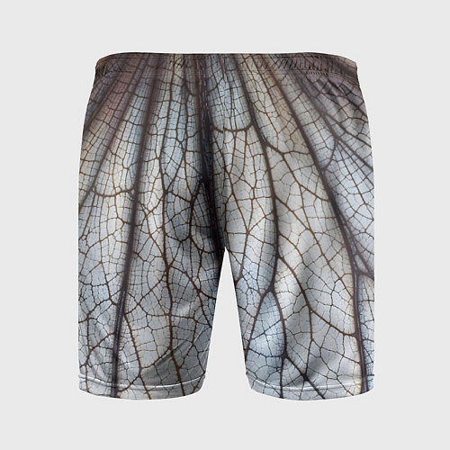 Мужские спортивные шорты Прожилки растения / 3D-принт – фото 2