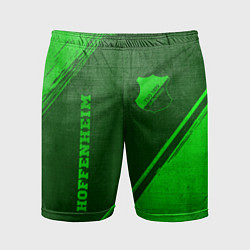Мужские спортивные шорты Hoffenheim - green gradient вертикально
