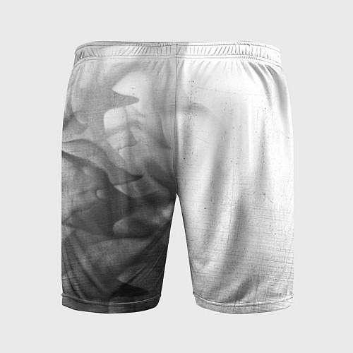 Мужские спортивные шорты Stray - white gradient по-вертикали / 3D-принт – фото 2