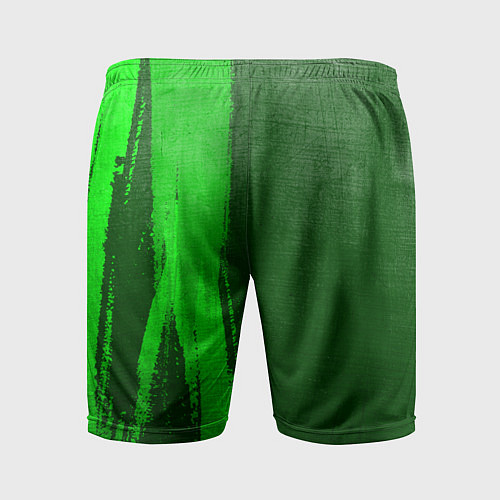 Мужские спортивные шорты Die Antwoord - green gradient по-вертикали / 3D-принт – фото 2