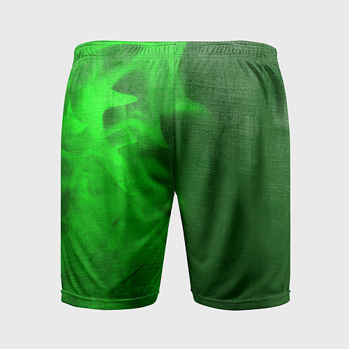 Мужские спортивные шорты Lamborghini - green gradient по-вертикали / 3D-принт – фото 2