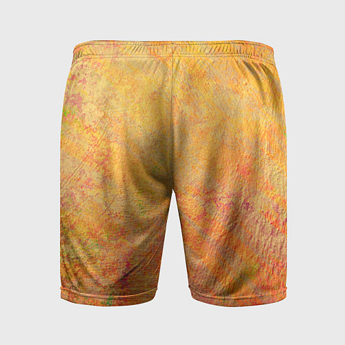 Мужские спортивные шорты Абстракция - desert sun / 3D-принт – фото 2