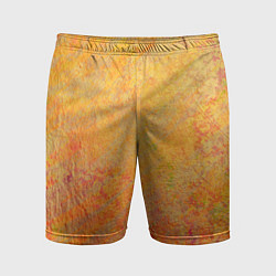 Мужские спортивные шорты Абстракция - desert sun
