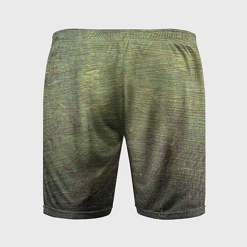 Мужские спортивные шорты Абстракция - old board painted with green paint / 3D-принт – фото 2