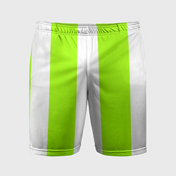 Шорты спортивные мужские Color light green white stripes, цвет: 3D-принт