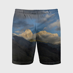 Мужские спортивные шорты Массив Метеген