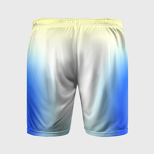 Мужские спортивные шорты Color yellow blue white / 3D-принт – фото 2
