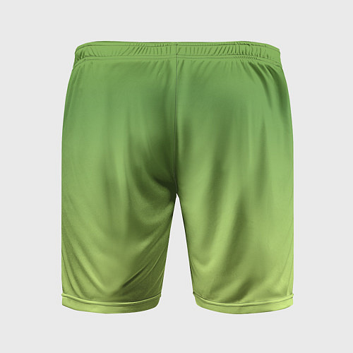 Мужские спортивные шорты Color green yellow / 3D-принт – фото 2
