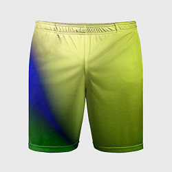 Шорты спортивные мужские The color is multicolored, цвет: 3D-принт