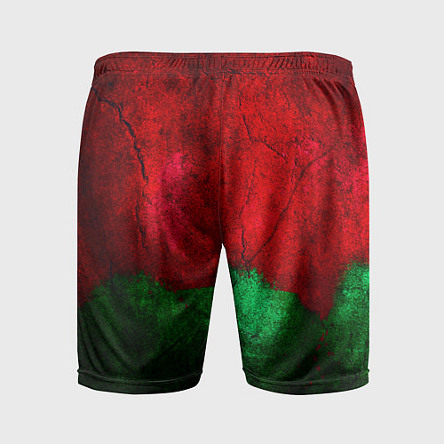 Мужские спортивные шорты Grunge color / 3D-принт – фото 2