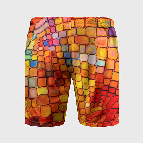 Мужские спортивные шорты Текстуры / 3D-принт – фото 2