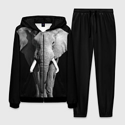 Костюм мужской Старый слон, цвет: 3D-черный