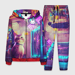 Мужской костюм Stray
