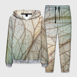 Костюм мужской Прожилки листика, цвет: 3D-меланж