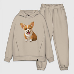 Мужской костюм оверсайз Корги, цвет: миндальный