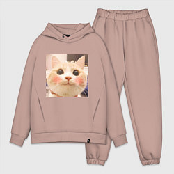 Мужской костюм оверсайз Мем про котов