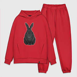 Мужской костюм оверсайз Черный водяной кролик - 2023, цвет: красный
