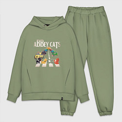Мужской костюм оверсайз Abbey cats