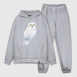 Мужской костюм оверсайз Белая полярная сова, цвет: меланж