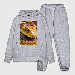 Мужской костюм оверсайз Песчаная змея, цвет: меланж