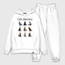 Мужской костюм оверсайз Коты воители, цвет: белый