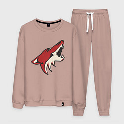 Костюм хлопковый мужской Phoenix Coyotes, цвет: пыльно-розовый