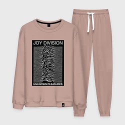 Мужской костюм Joy Division: Unknown Pleasures