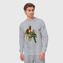 Костюм хлопковый мужской Тропические попугаи, цвет: меланж — фото 2