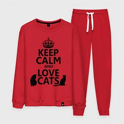 Мужской костюм Keep Calm & Love Cats
