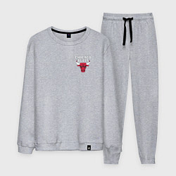 Костюм хлопковый мужской CHICAGO BULLS НА СПИНЕ, цвет: меланж