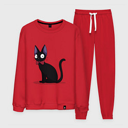 Костюм хлопковый мужской Кот студии Гибли, цвет: красный