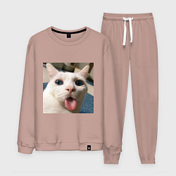 Костюм хлопковый мужской Мем про кота, цвет: пыльно-розовый