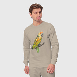 Костюм хлопковый мужской Любимый попугай, цвет: миндальный — фото 2