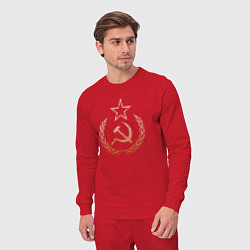 Костюм хлопковый мужской Символы СССР стиль полутон, цвет: красный — фото 2