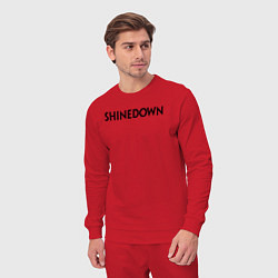 Костюм хлопковый мужской Shinedown лого, цвет: красный — фото 2