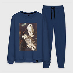 Костюм хлопковый мужской Snowy Owl Сова, цвет: тёмно-синий