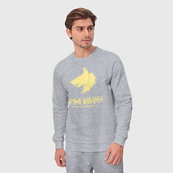 Костюм хлопковый мужской Космические волки лого винтаж, цвет: меланж — фото 2