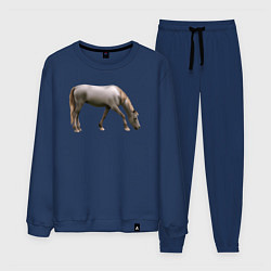 Костюм хлопковый мужской Креольская лошадь, цвет: тёмно-синий