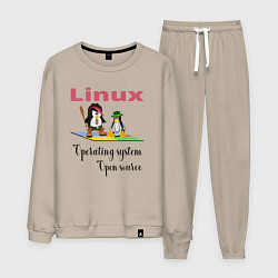 Костюм хлопковый мужской Линукс пингвин система, цвет: миндальный