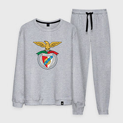 Костюм хлопковый мужской Benfica club, цвет: меланж