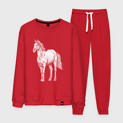 Костюм хлопковый мужской Белая лошадь стоит, цвет: красный