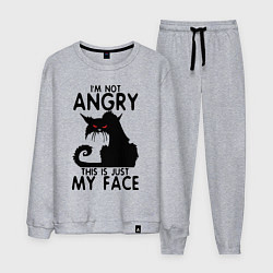 Костюм хлопковый мужской I am not angry cat, цвет: меланж