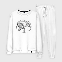 Костюм хлопковый мужской Слон акробат, цвет: белый