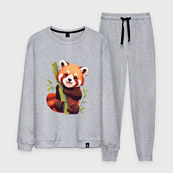 Мужской костюм The Red Panda