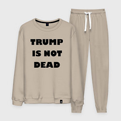 Костюм хлопковый мужской Trump is not dead - motto, цвет: миндальный