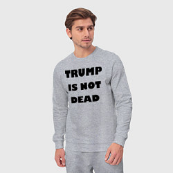 Костюм хлопковый мужской Trump is not dead - motto, цвет: меланж — фото 2