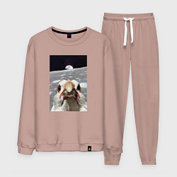 Костюм хлопковый мужской Курица селфи на луне, цвет: пыльно-розовый