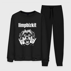 Костюм хлопковый мужской Limp Bizkit rock dog, цвет: черный