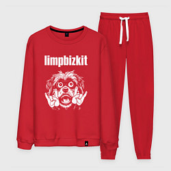 Костюм хлопковый мужской Limp Bizkit rock dog, цвет: красный