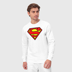 Костюм хлопковый мужской Superman logo, цвет: белый — фото 2